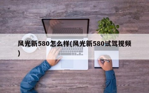 风光新580怎么样(风光新580试驾视频)