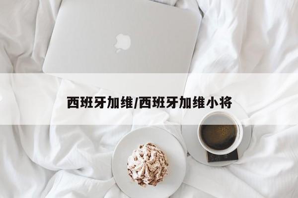 西班牙加维/西班牙加维小将