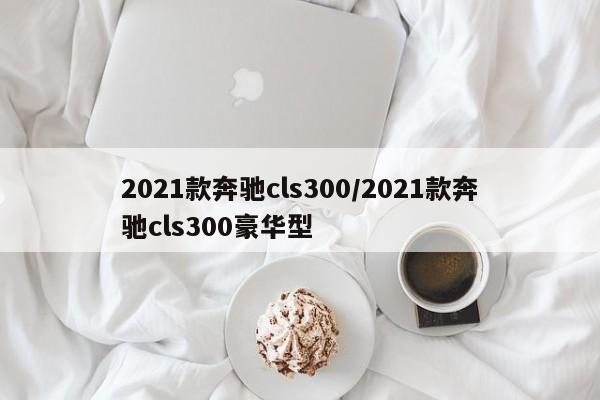 2021款奔驰cls300/2021款奔驰cls300豪华型