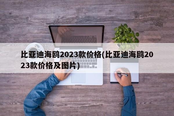 比亚迪海鸥2023款价格(比亚迪海鸥2023款价格及图片)