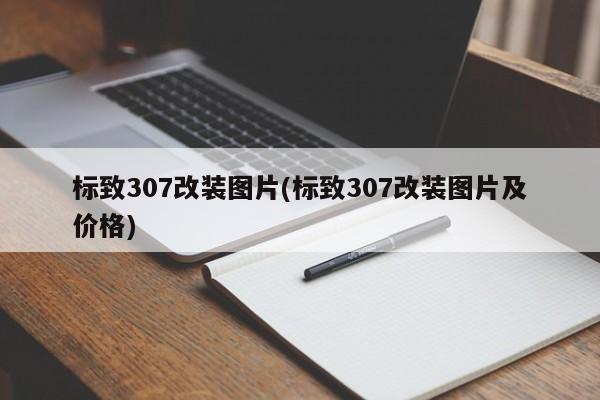标致307改装图片(标致307改装图片及价格)