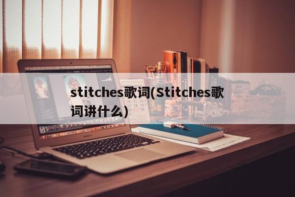 stitches歌词(Stitches歌词讲什么)